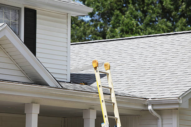 Best Hoarding Cleanup  in Pearl River, MS